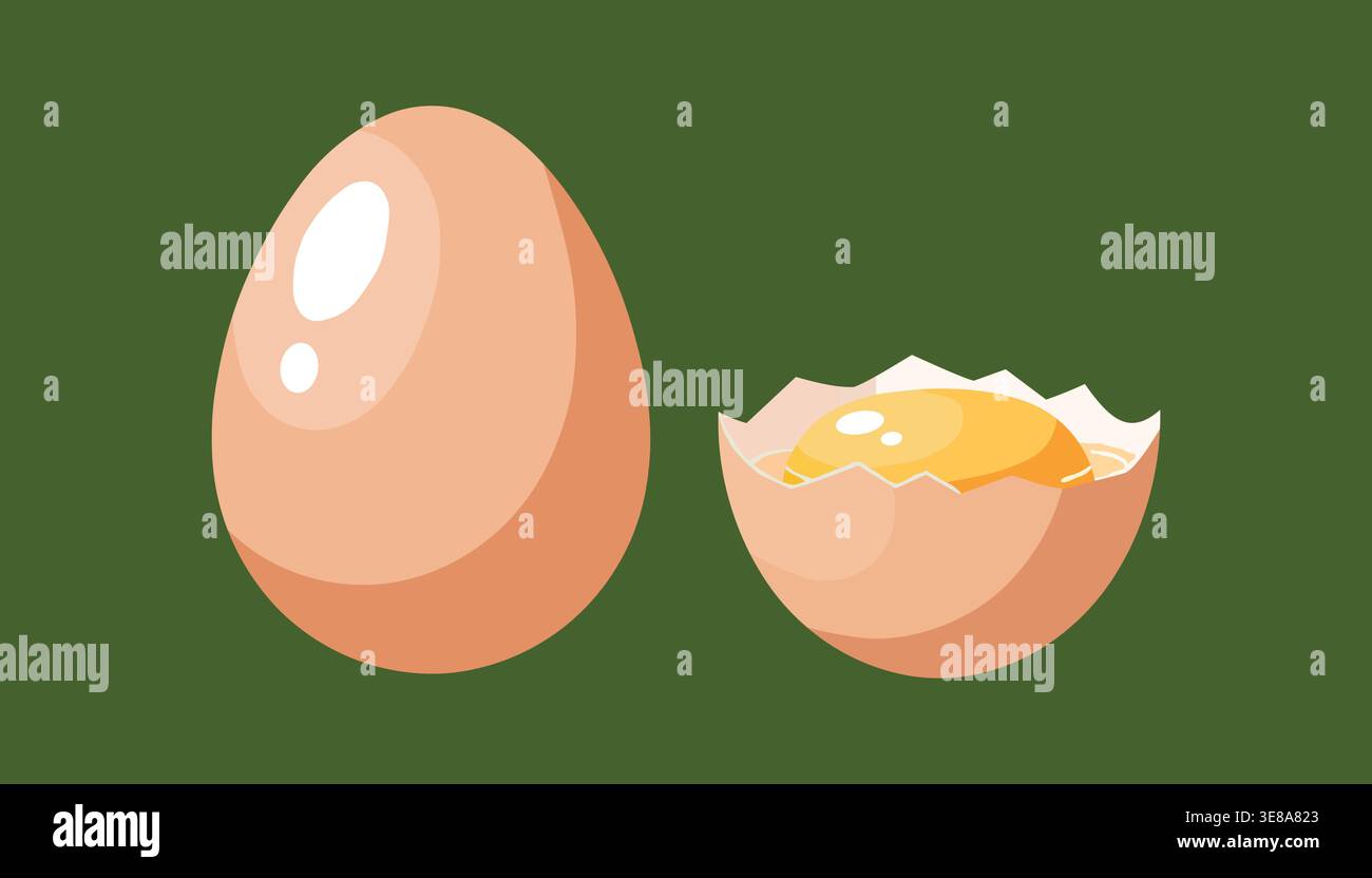 Egg and cracked egg with yolk illustration isolated on green background representing food cooking and breakfast concept Stock Vector