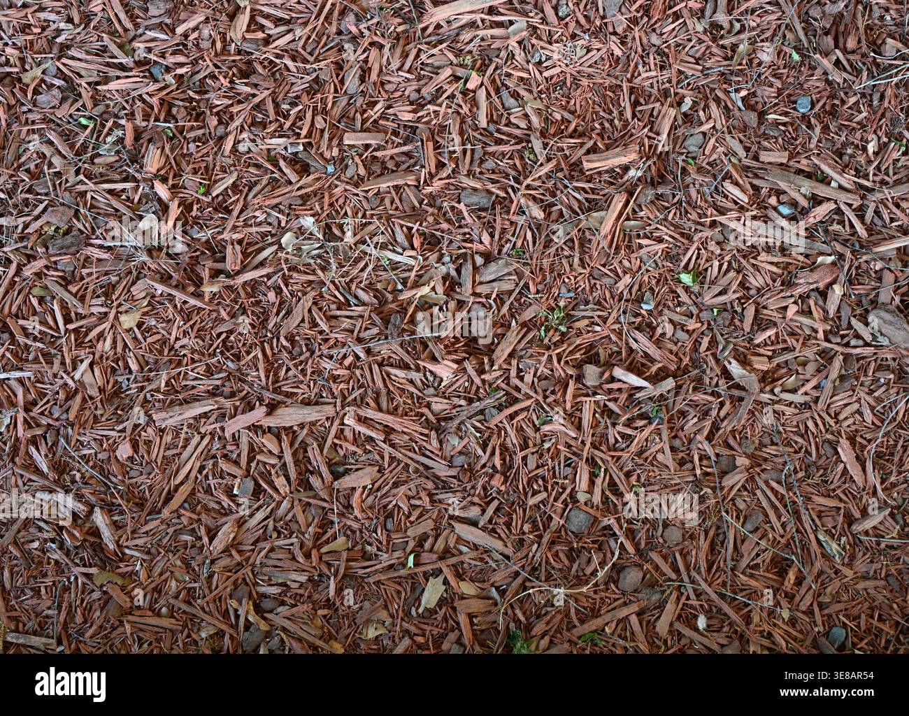 Redwood mulch ground cover with various sizes and shapes of wood chips, dried twigs, dried grass, green leaves, small pebbles, and natural debris Stock Photo