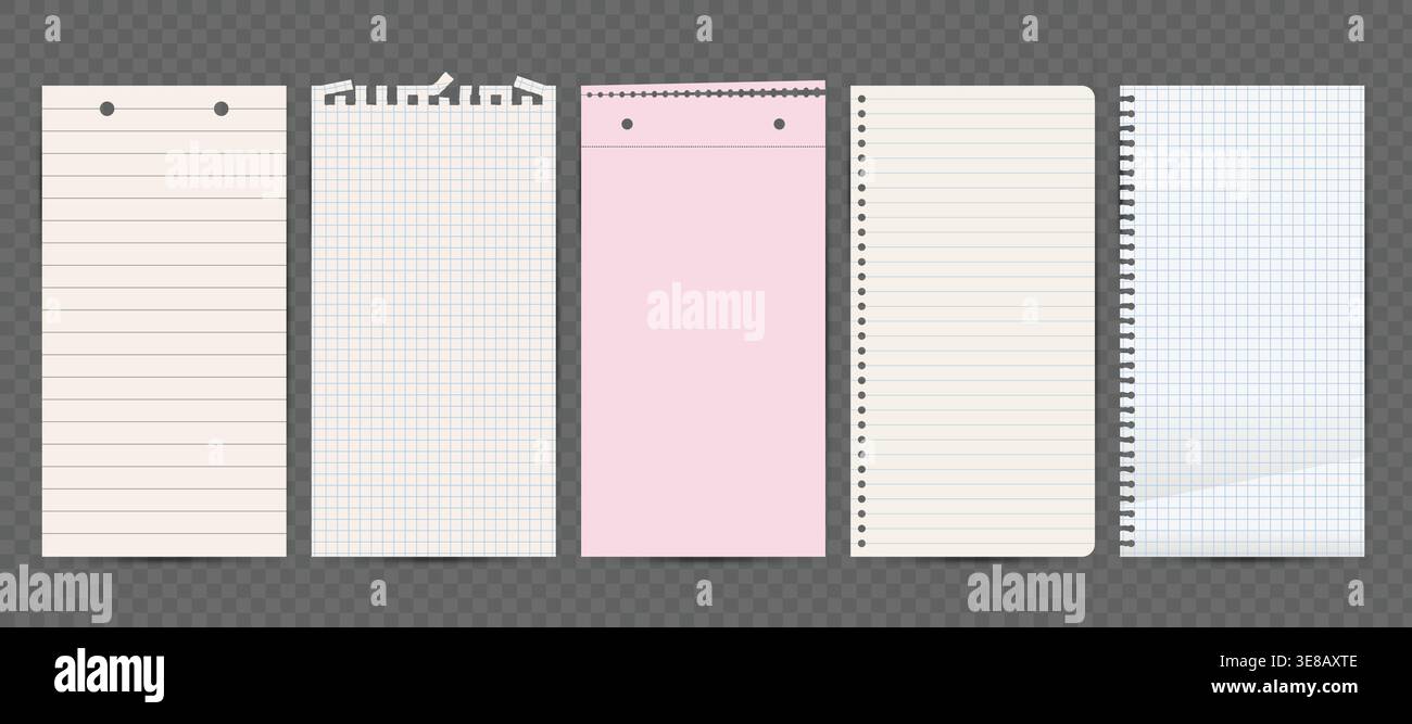 Notebook Paper Page Set. Vector Design. Stock Vector