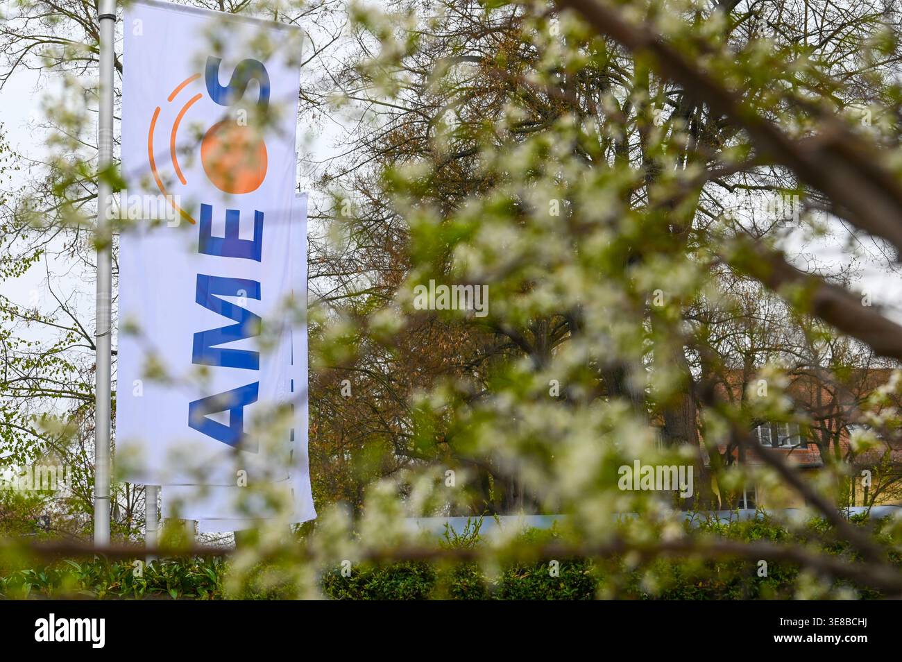 13 April 2026, Saxony-Anhalt, Aschersleben: Flags with the Ameos logo ...