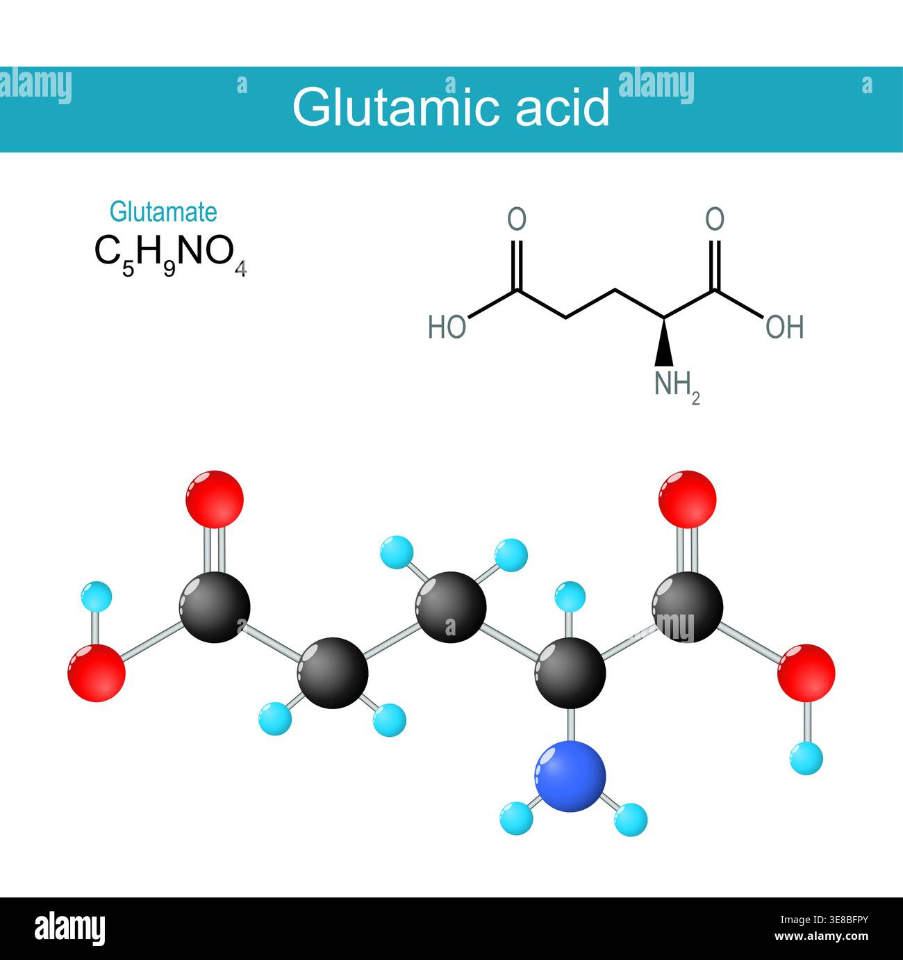 glutathione vs glutamic acid Before and After Glutathione Cream Results: Real Transformations