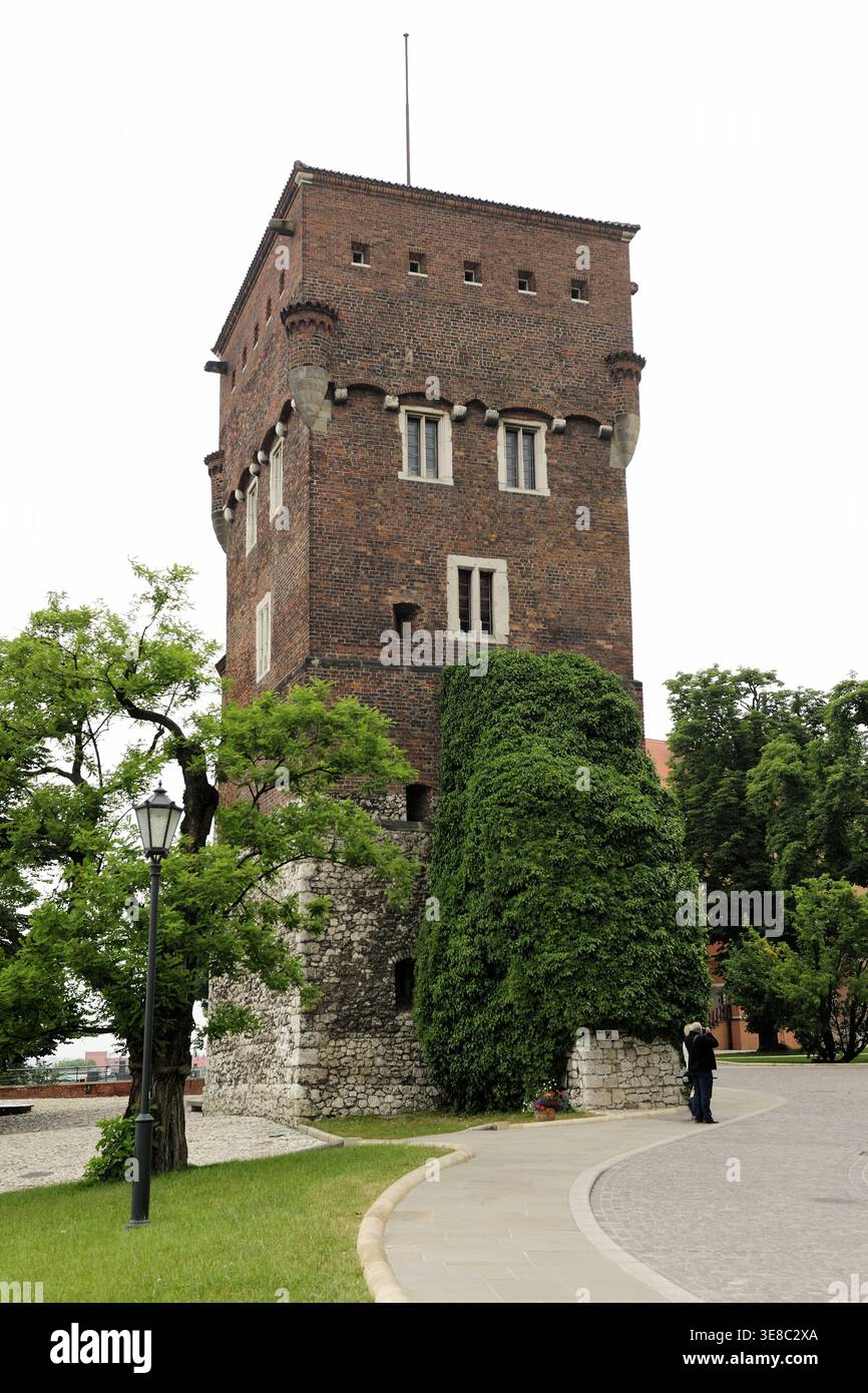 Wawel castle, the arcaded Renaissance courtyard at the centre of Wawel ...