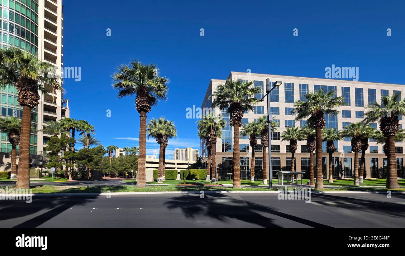 Palm trees modern buildings hi-res stock photography and images - Alamy