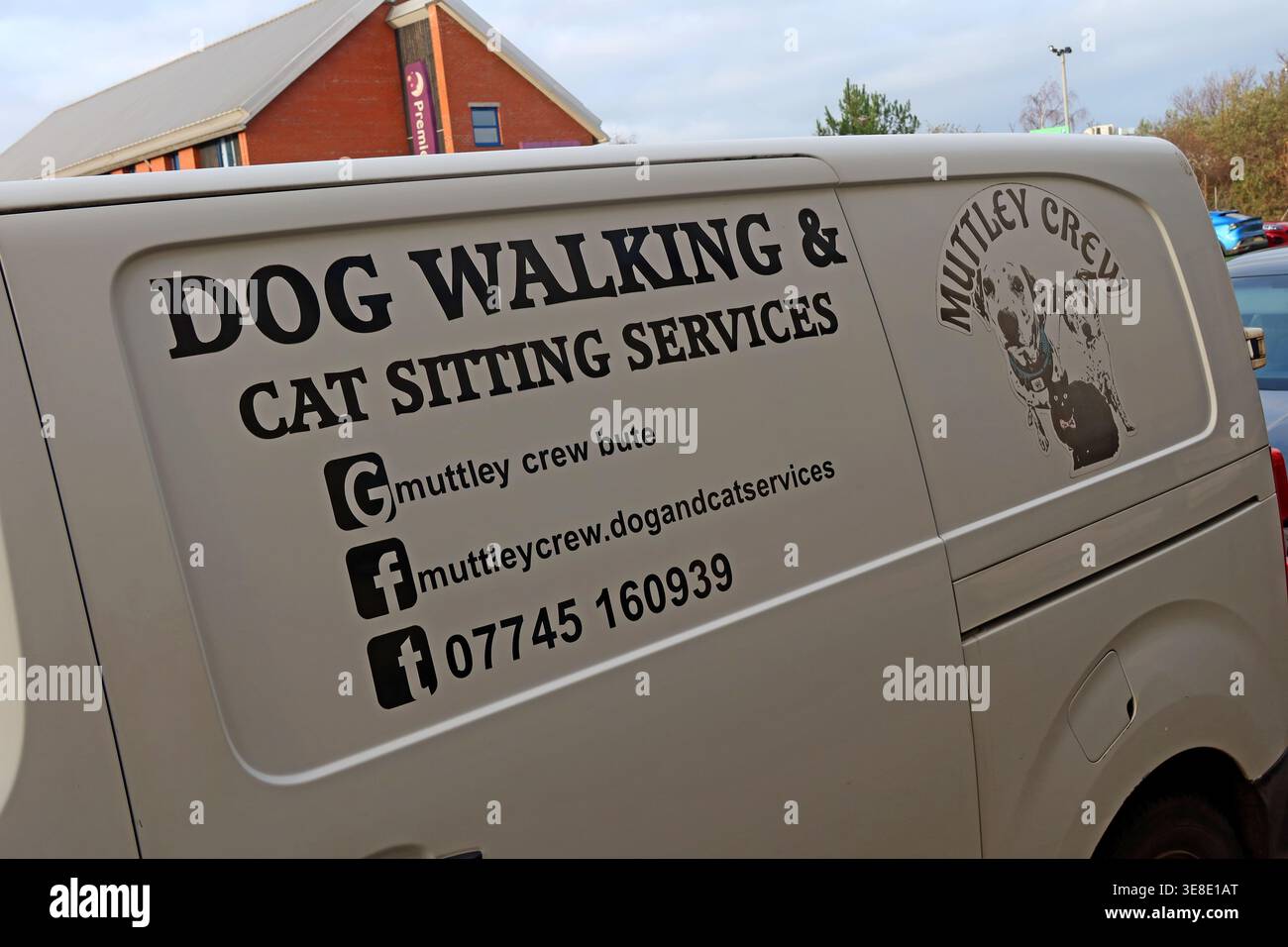 Dod Walking Cat Sitting MuttleyCrew, United Kingdom. Stock Photo