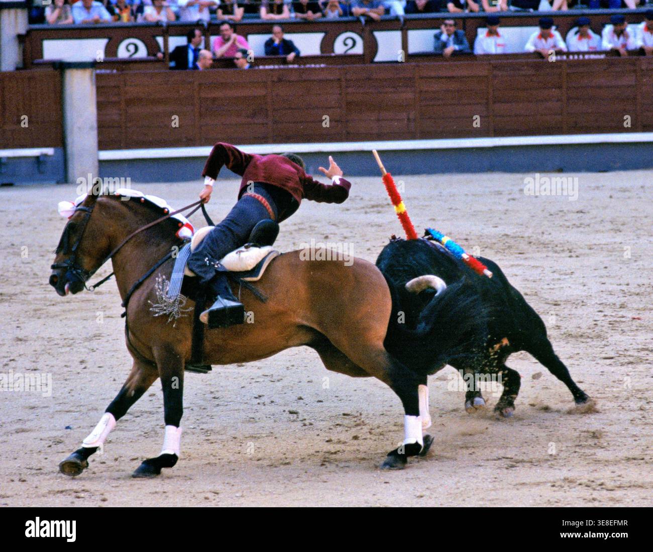 A bullfighter on horseback evades an attacking bull at Las Ventas Bullring in Madrid during a traditional corrida de rejones event. Stock Photo