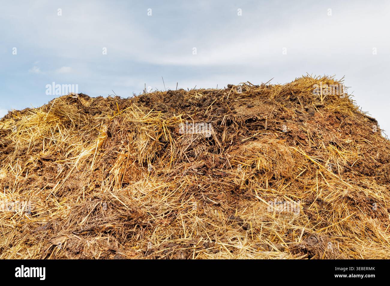 Large pile of Dutch animal manure on a farm Stock Photo