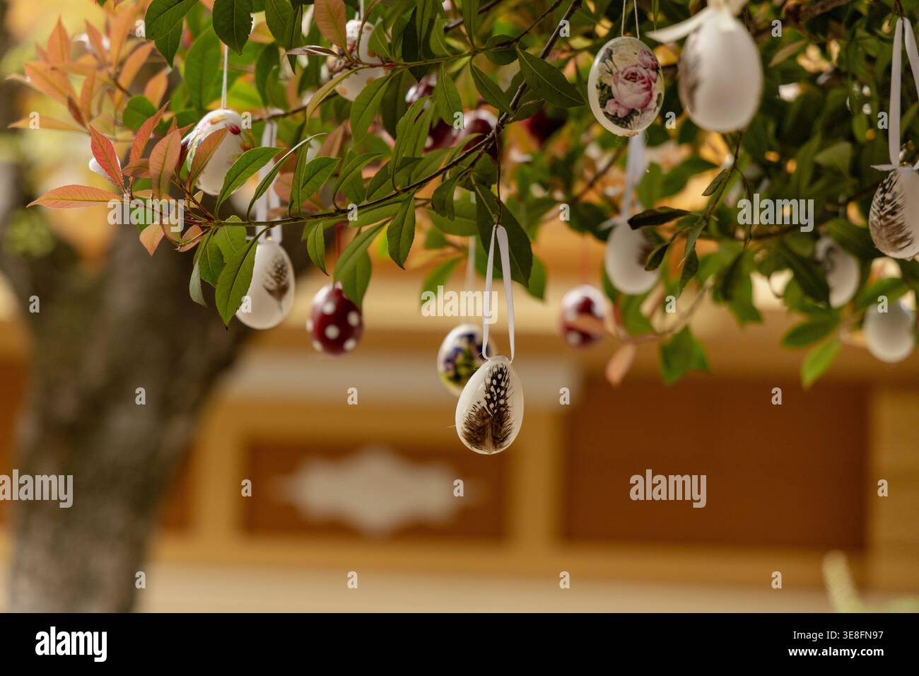 Decorated Easter Eggs Hanging Leafy Branches Stock Photo