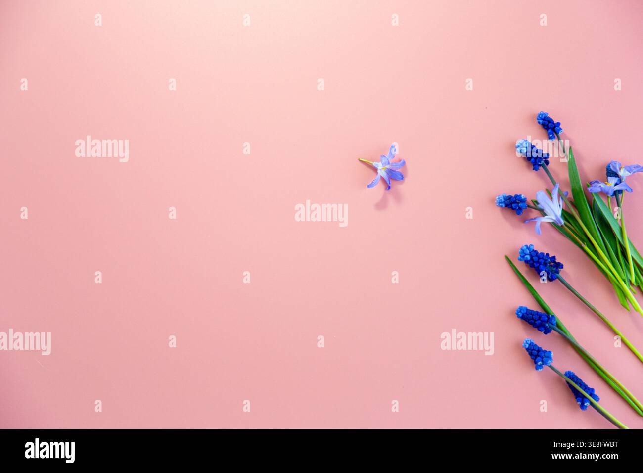 Cute simple pastel flowers hi-res stock photography and images - Alamy