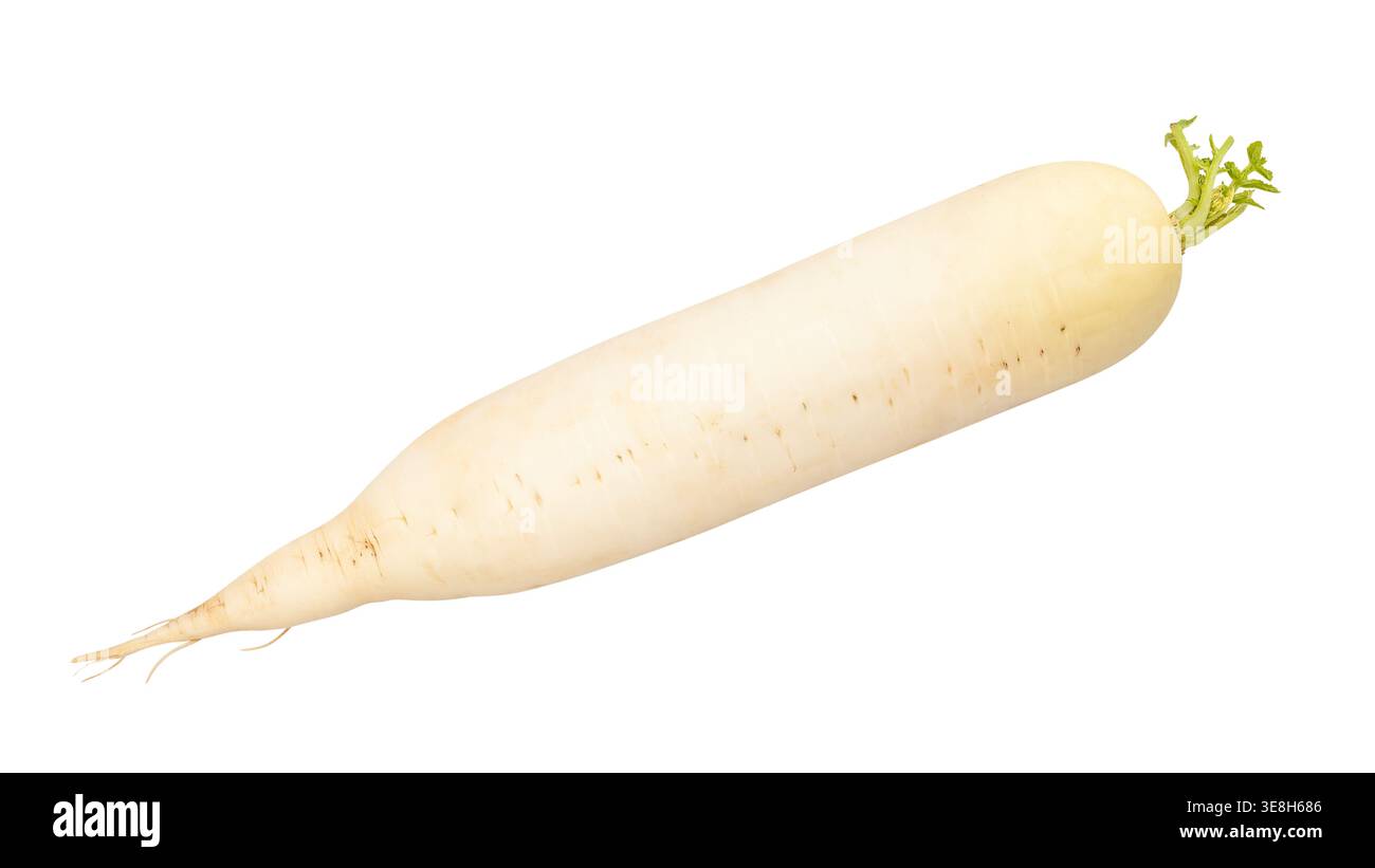 daikon path isolated on white Stock Photo
