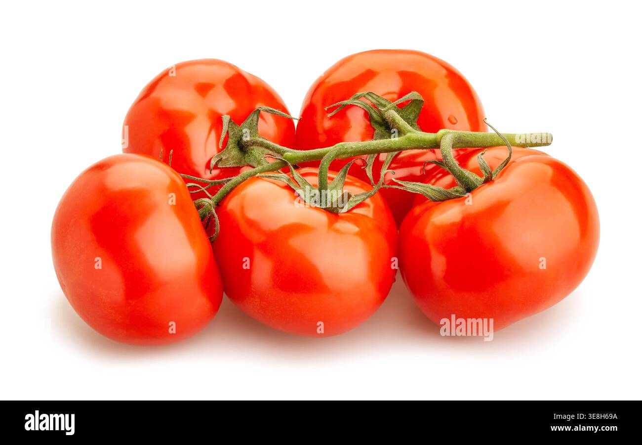 tomato branch path isolated on white Stock Photo
