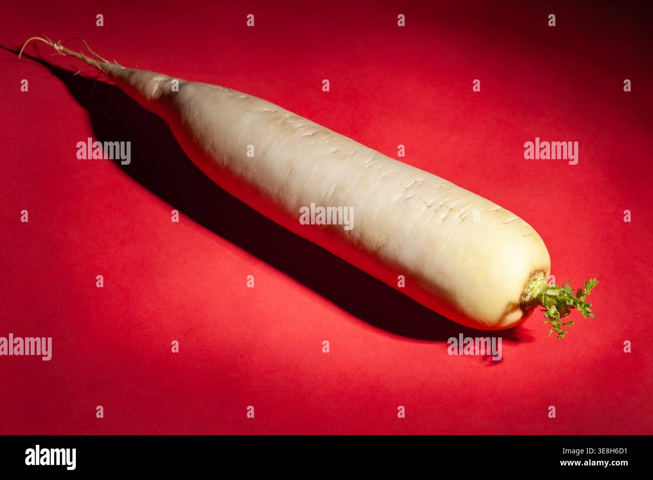 daikon radish on red background Stock Photo