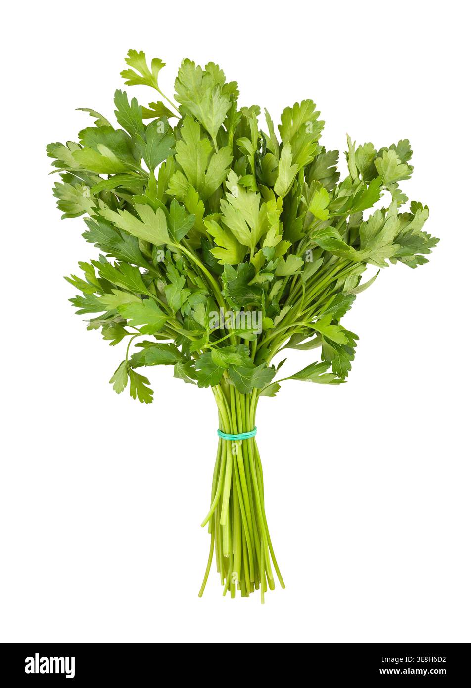parsley path isolated on white Stock Photo