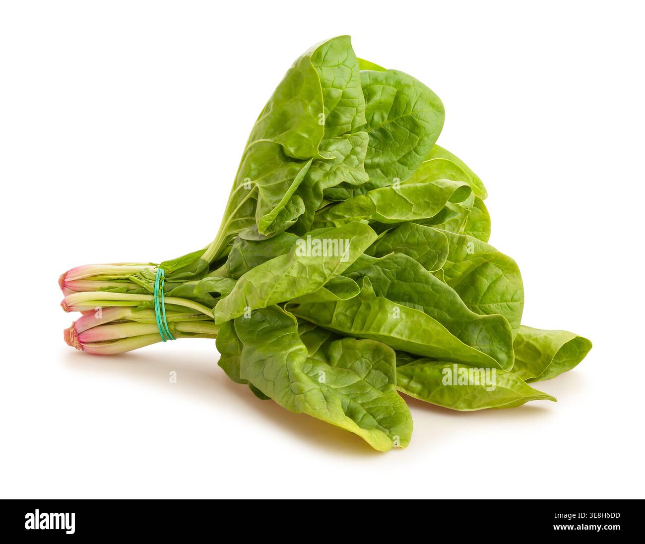 spinach path isolated on white Stock Photo
