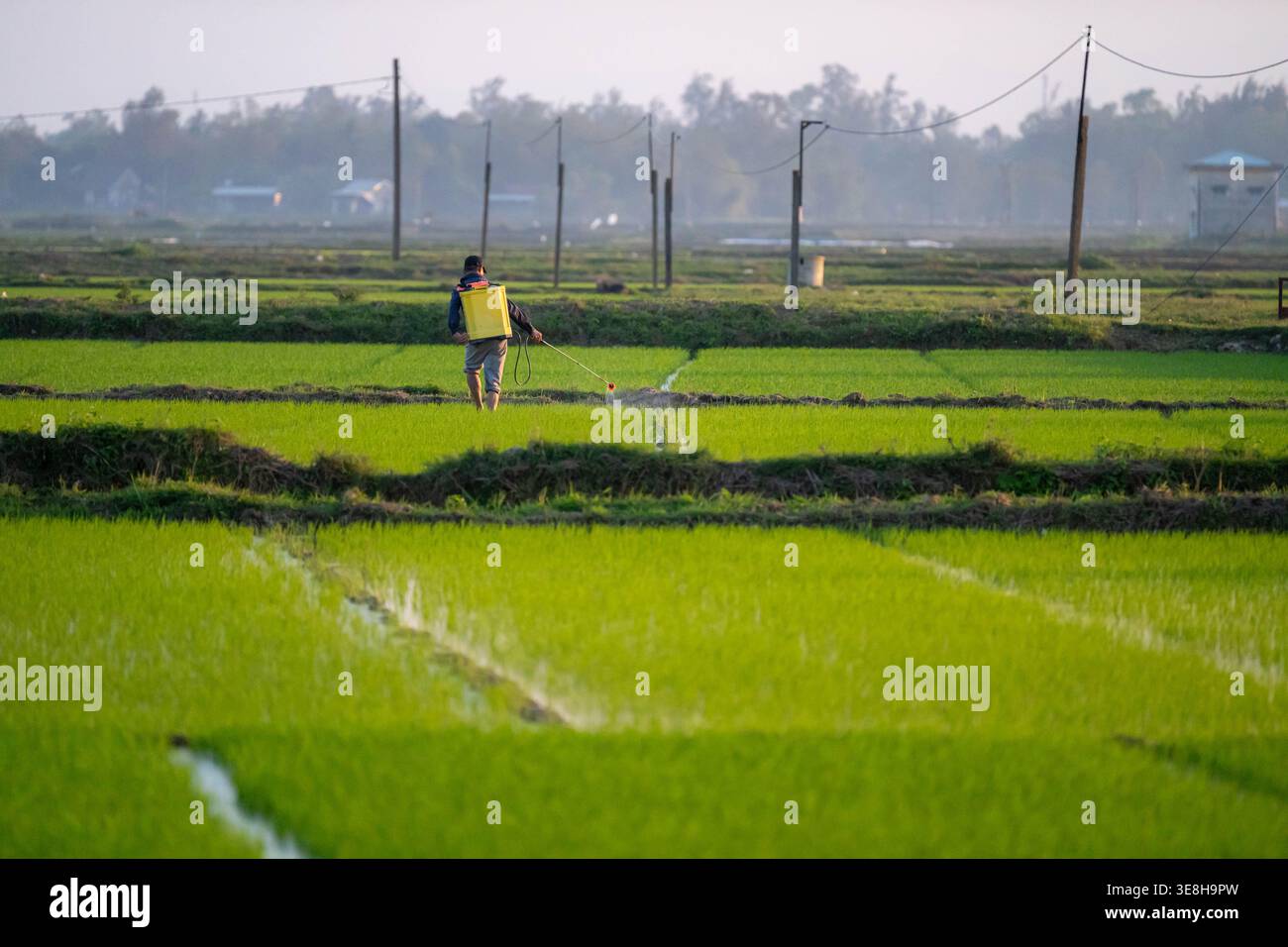 Herbicide asia hi-res stock photography and images - Alamy