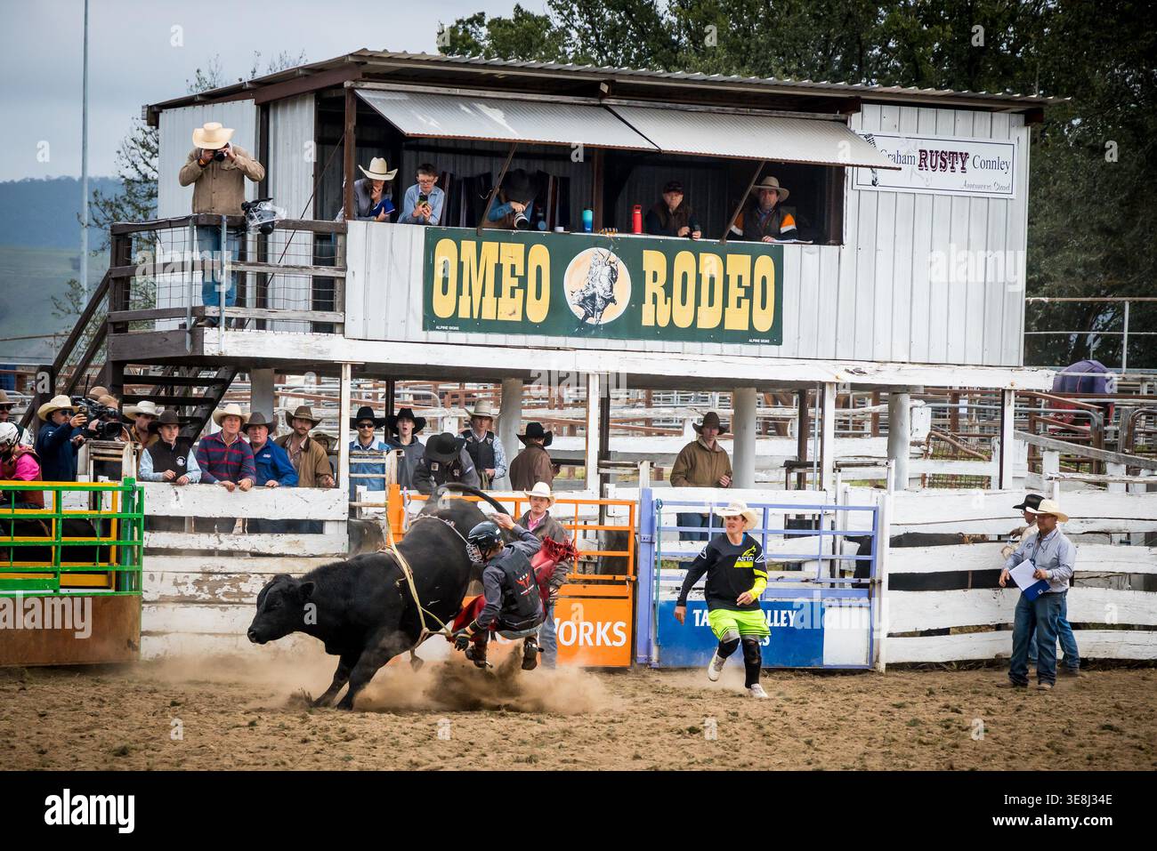 A rider competes at the annual Omeo Rodeo for 2026 on Easter Saturday ...