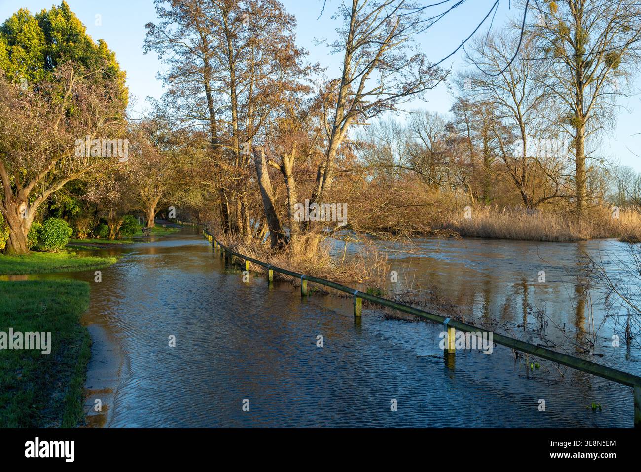 A footpath in Churchill Gardens flooded by the River Avon, Salisbury, Wiltshire, England Stock Photo