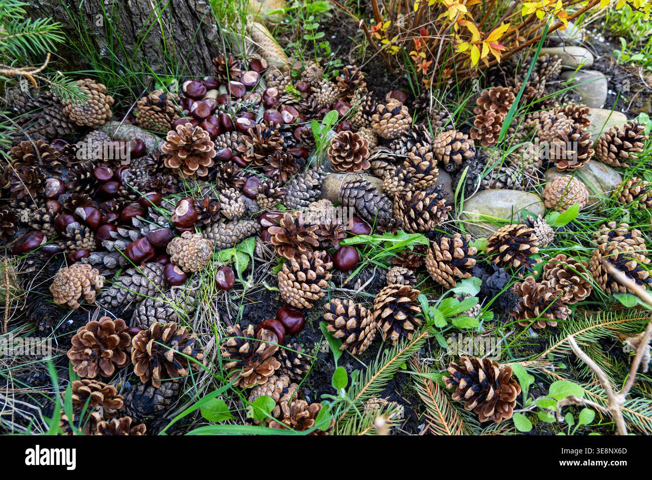 Ground floor beneath hi-res stock photography and images - Alamy
