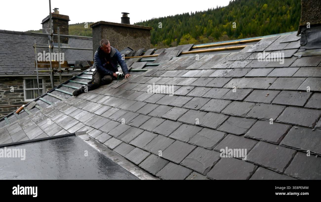 Roof repairs using local Welsh Slate Stock Photo