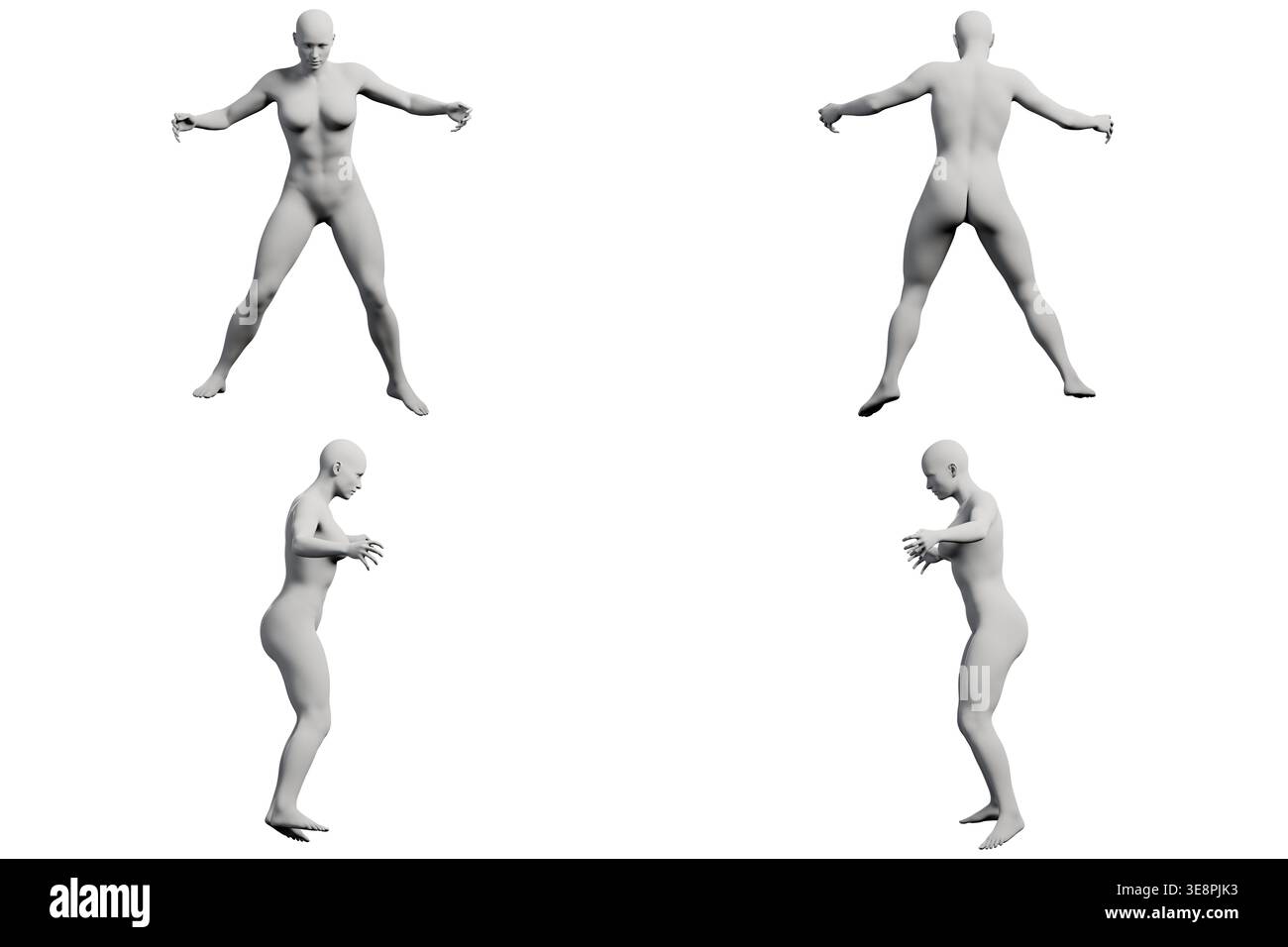 Multi-view reference sheet showing a dynamic young woman mannequin ...