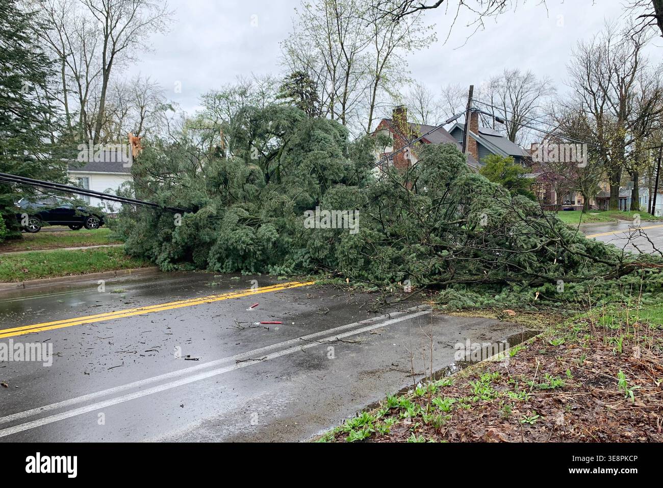 A fallen tree blocks a street following a severe storm Wednesday, April ...