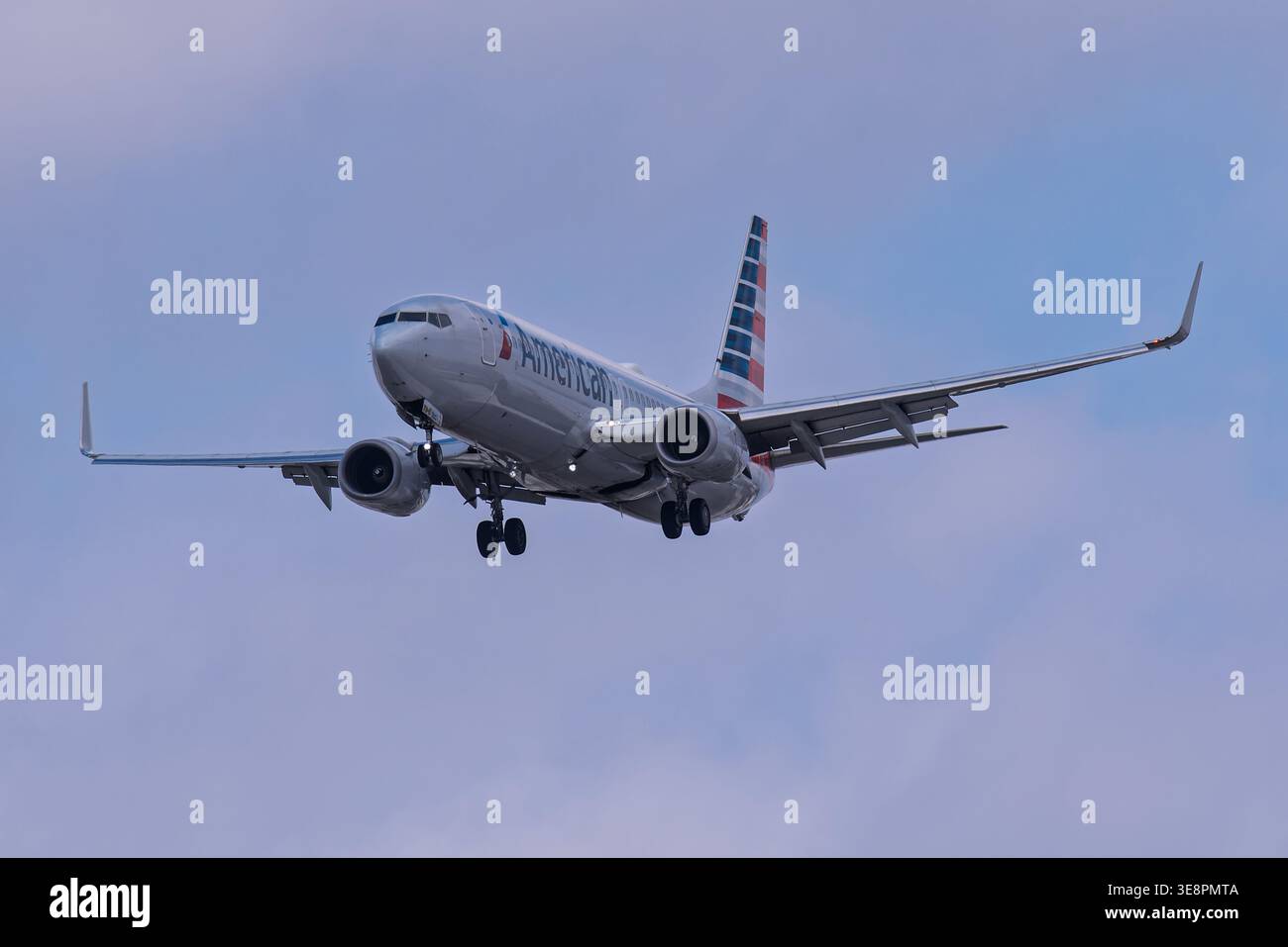 American airlines boeing 737 800 hi-res stock photography and
