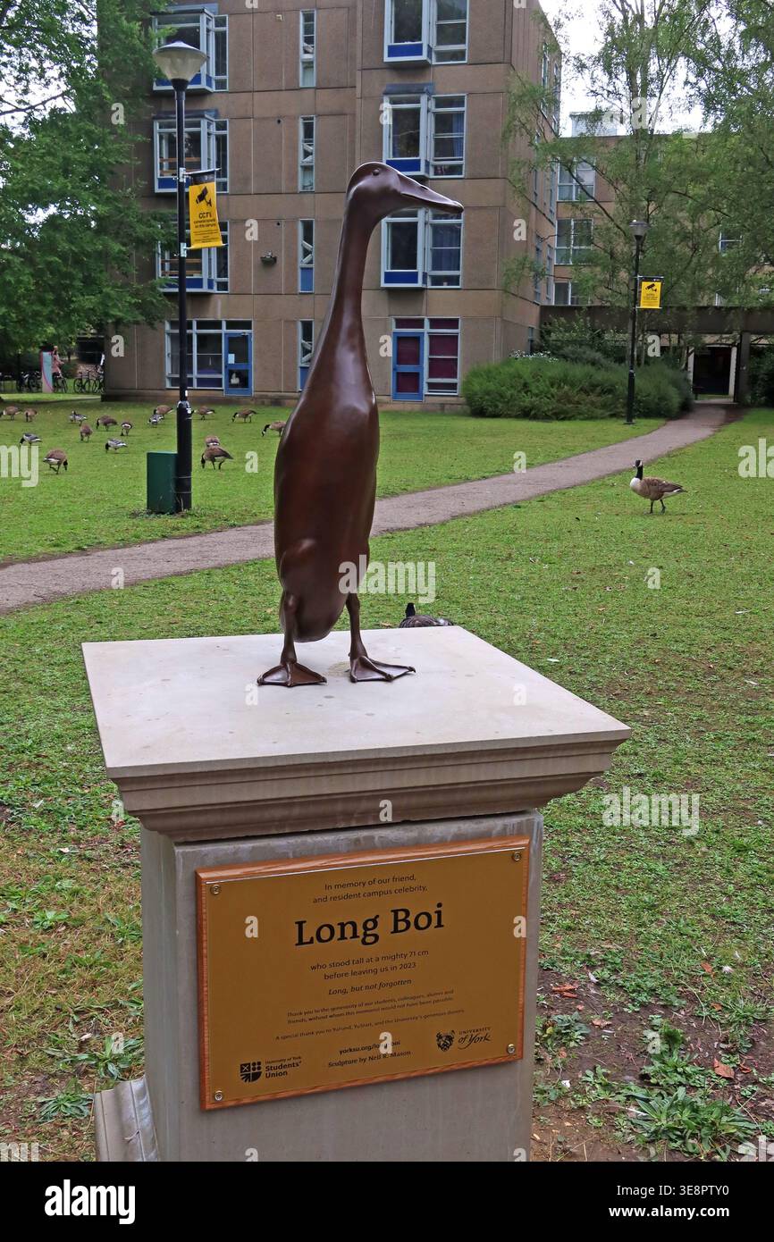 Bronze statue of Long Boi, the famous University of York campus duck, beside Derwent College lake on Campus West. Stock Photo