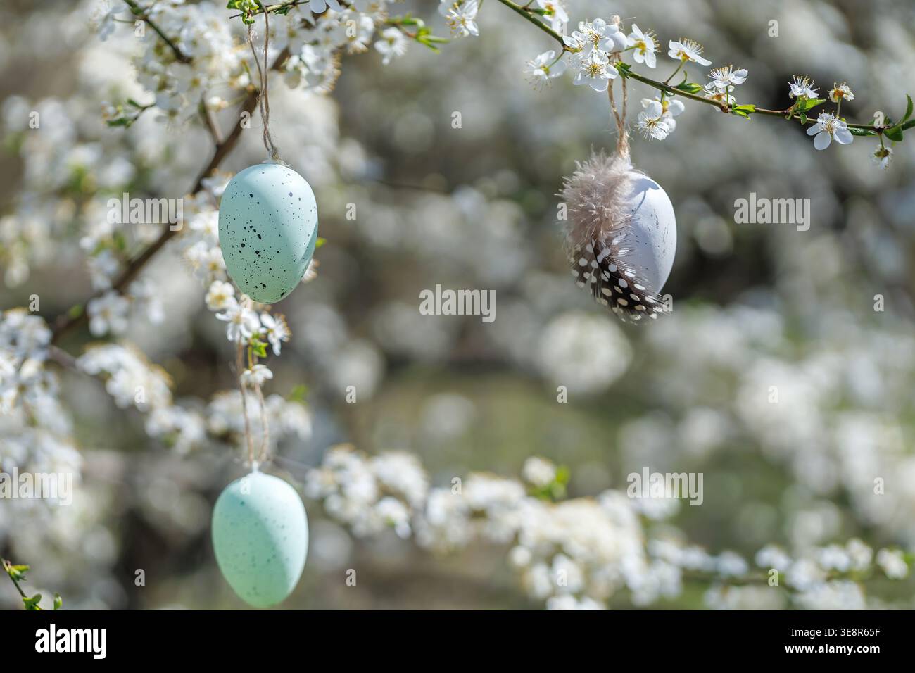 Pastel Easter eggs on flowering tree branch Stock Photo