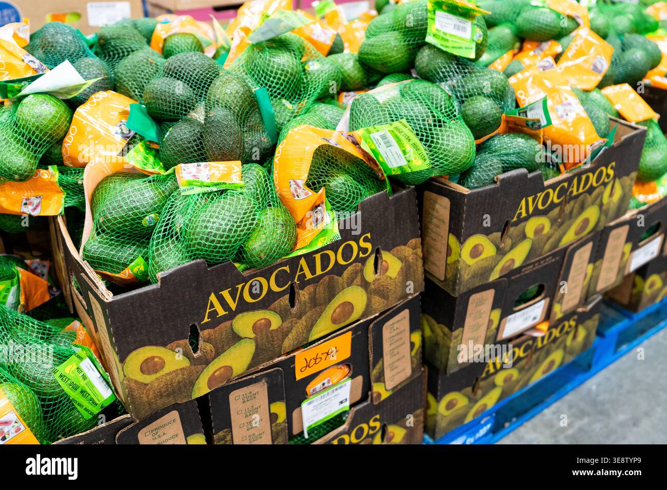 Avocados Displayed On Costco Wholesale Grocery Store Produce Shelf In Bulk Fresh Fruit Section Stock Photo