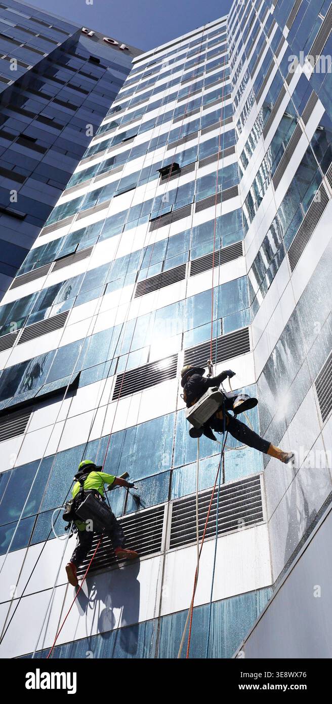 Spring cleaning Workers, hanging from ropes suspended from the top of a ...