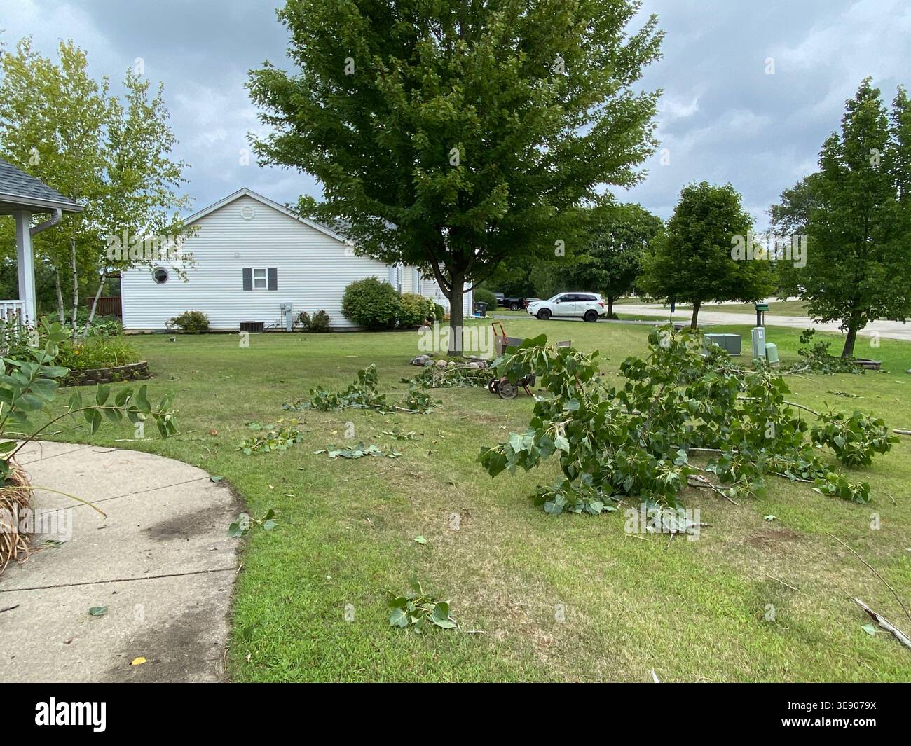 Storm damage after a microburst in Salem Lakes, Wisconsin, USA, with Poplar tree branches strewn across a front yard, in the summer - Smartphone Captured Stock Image