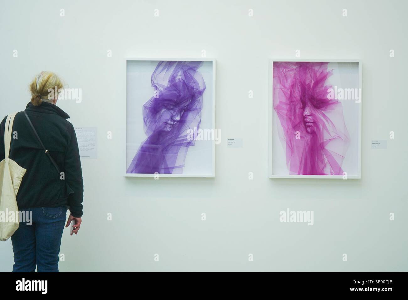 Saatchi Gallery Textile Art Redefined:  Benjamin Shine,(R) Quietude Flow #6 (L) Within Flow # 4 Stock Photo