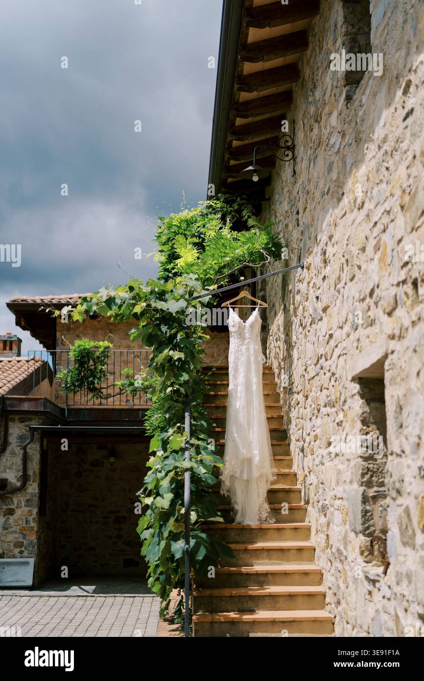 Bridal vine hi-res stock photography and images - Alamy