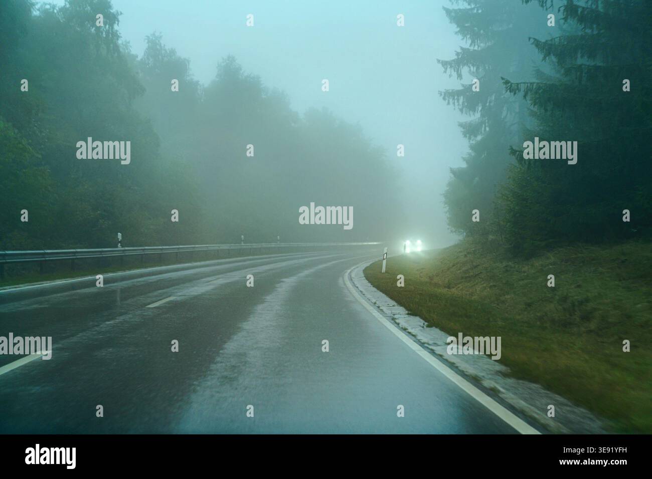 A foggy road through the forest. Fog and rain on the expressway. Stock Photo