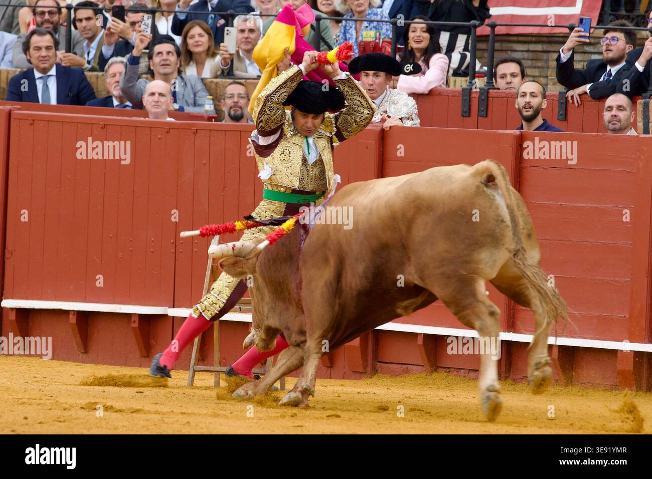 Analysis of the Álvaro Núñez Herd Analysis of the Álvaro Núñez Herd
