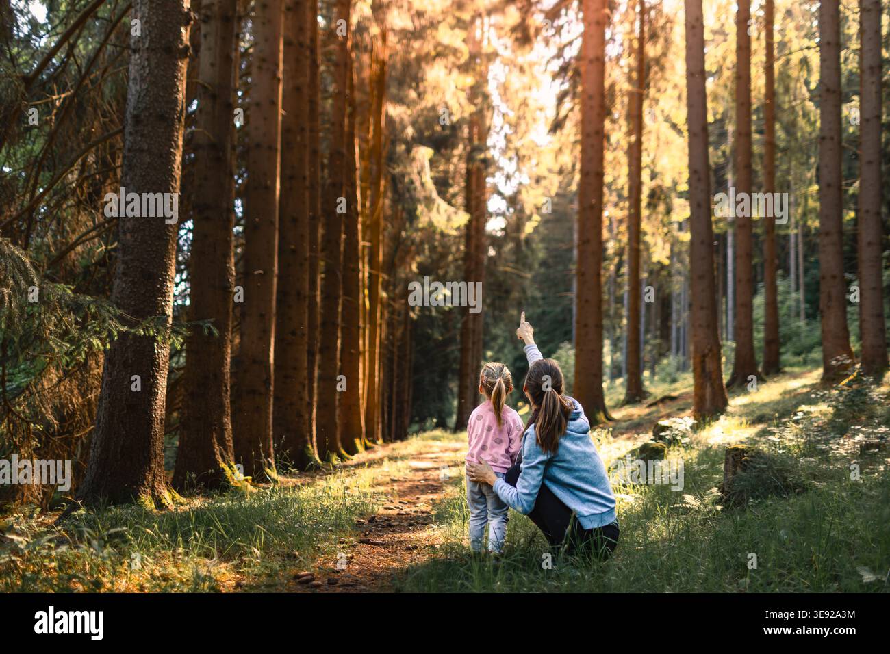 Mother and daughter exploring forest, enjoying wildlife nature looking up at the trees. Stock Photo