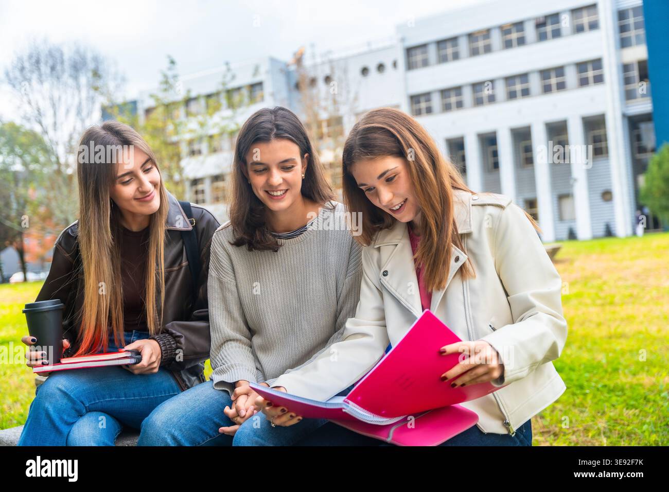 Female students learning together on campus lawn Stock Photo