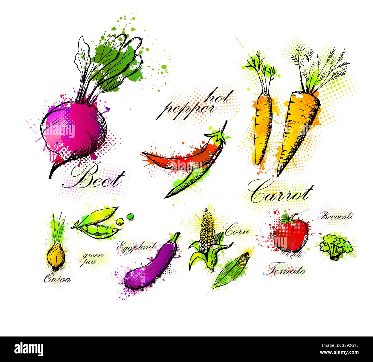 Vegetable set. Hand drawn ink sketches. Hand drawn. Not AI, vector illustration. Stock Vector