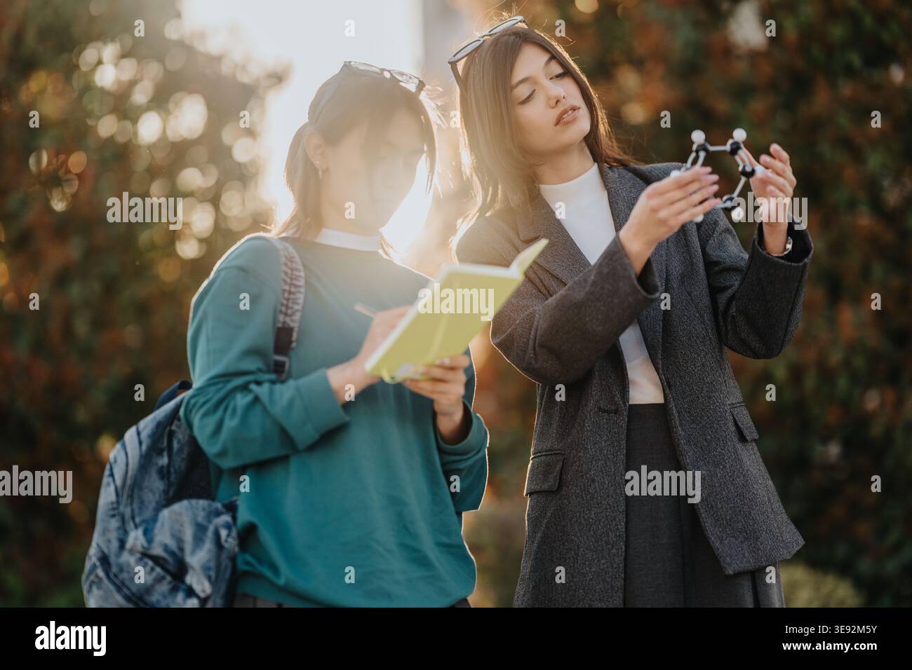Two students studying chemistry together outdoors examining a molecular model and taking notes Stock Photo