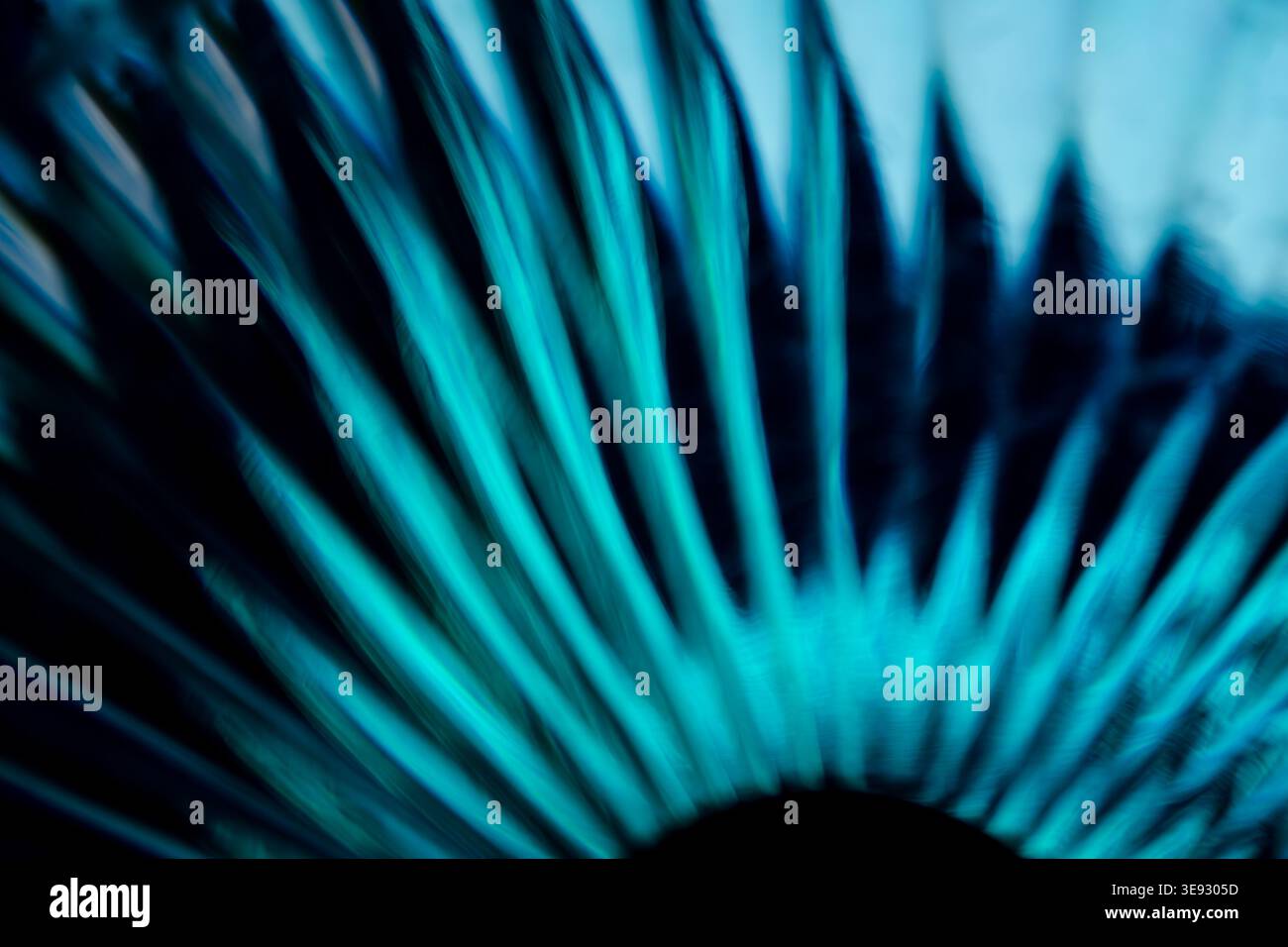Abstract bright cyan glowing light rays exploding outward in a radial burst Stock Photo