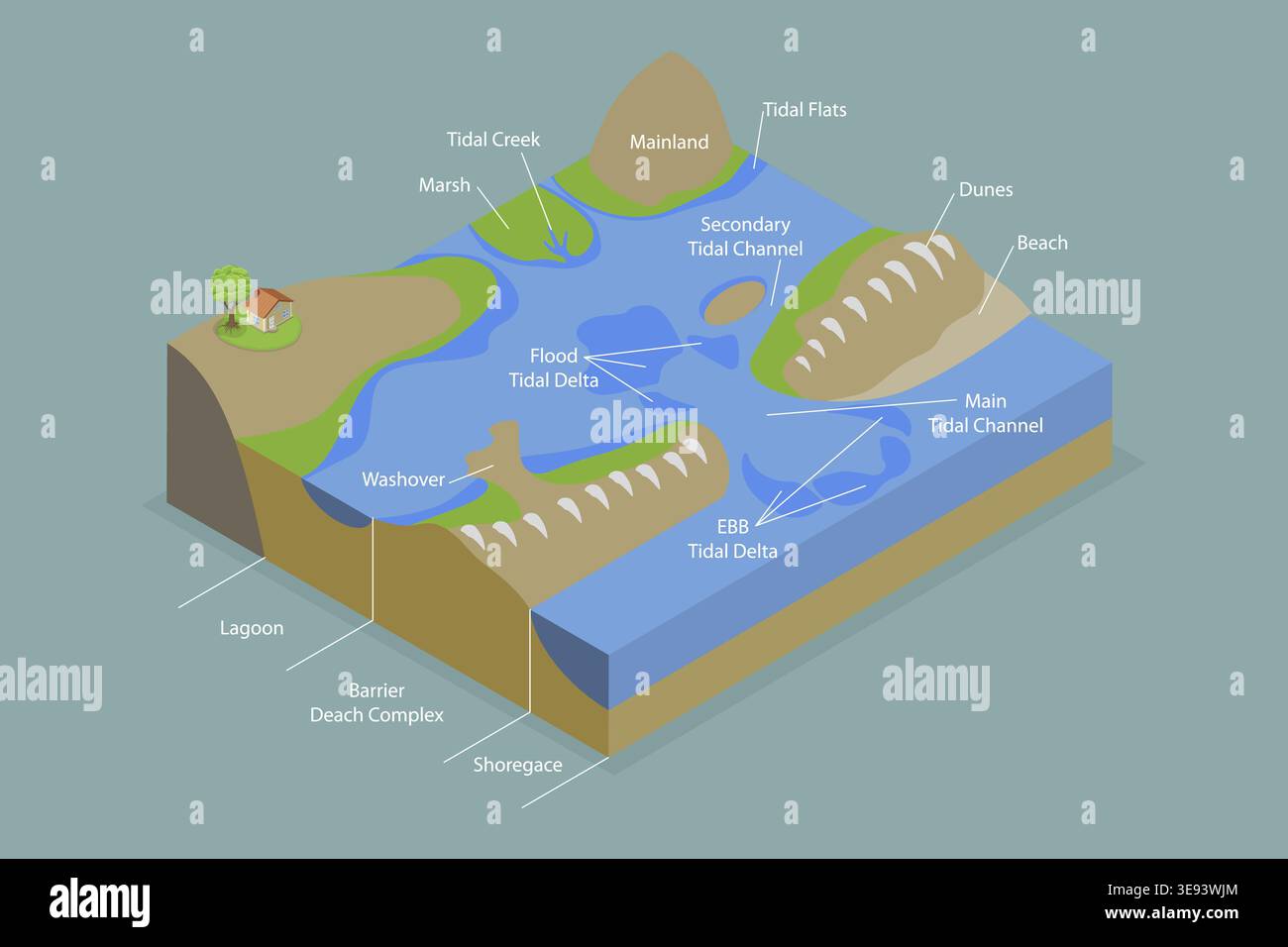 3D Isometric Flat Vector Conceptual Illustration of Barrier Island ...