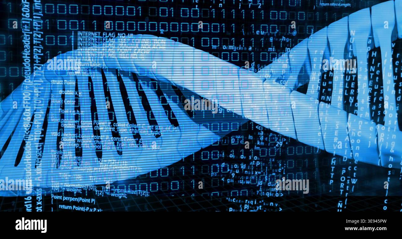 Displaying DNA double helix ribbon twisting in virtual data grid, showing binary code streams Stock Photo