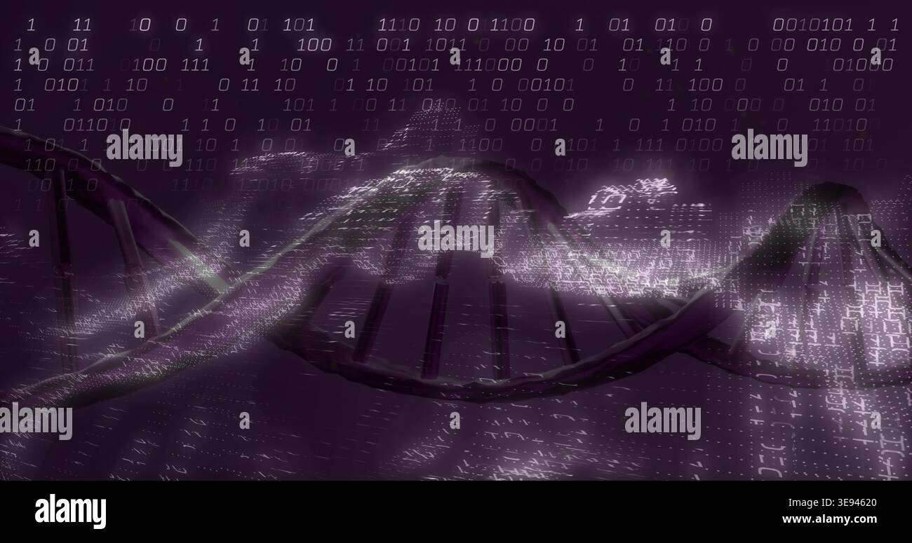 Undulating stylized DNA double helix flowing across virtual 3D data field, with binary streams Stock Photo