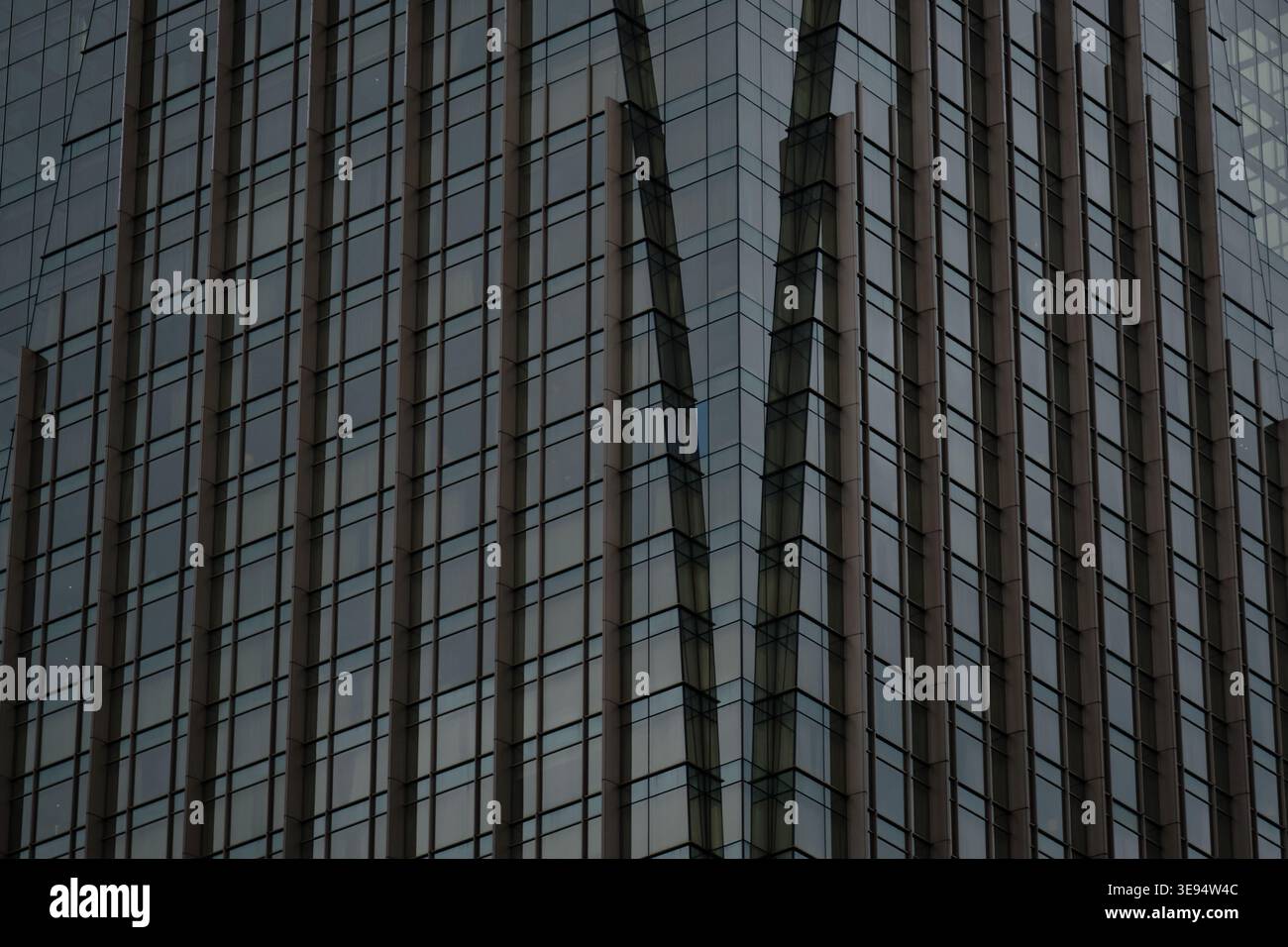 High detail shot vertical hi-res stock photography and images - Alamy