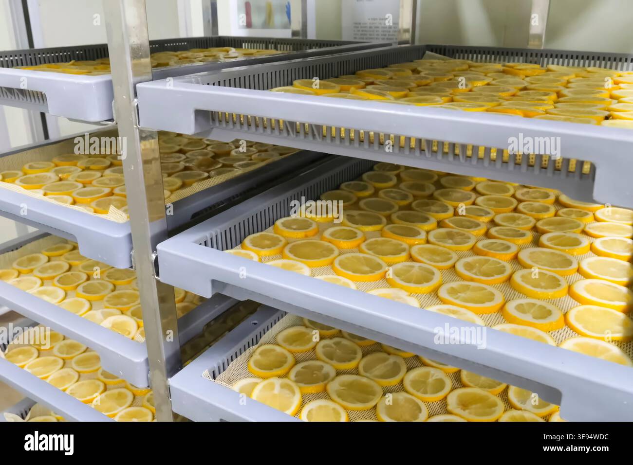 Lemons and oranges cut, into slices are dried on Stock Photo