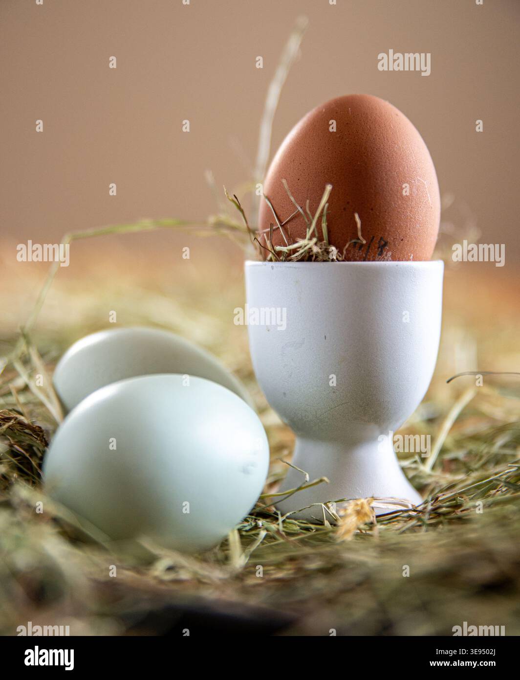 Free Range Eggs Stock Photo