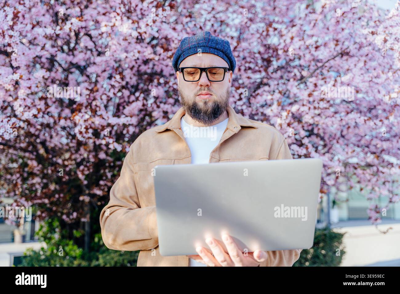concentrated bearded man using laptop near blooming cherry tree Stock Photo