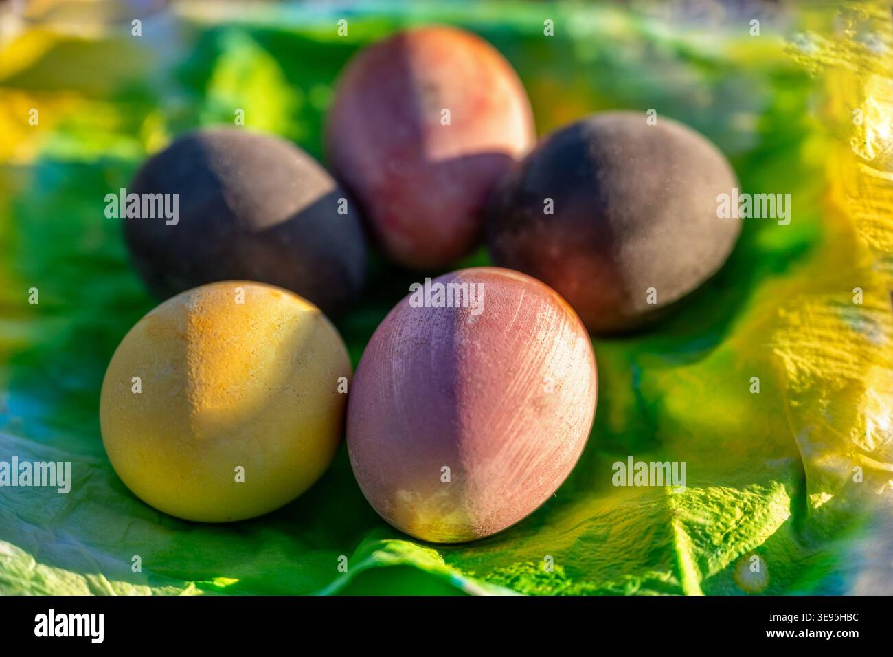 Dyed easter egg on spring colored napkin in plate, closeup. Stock Photo