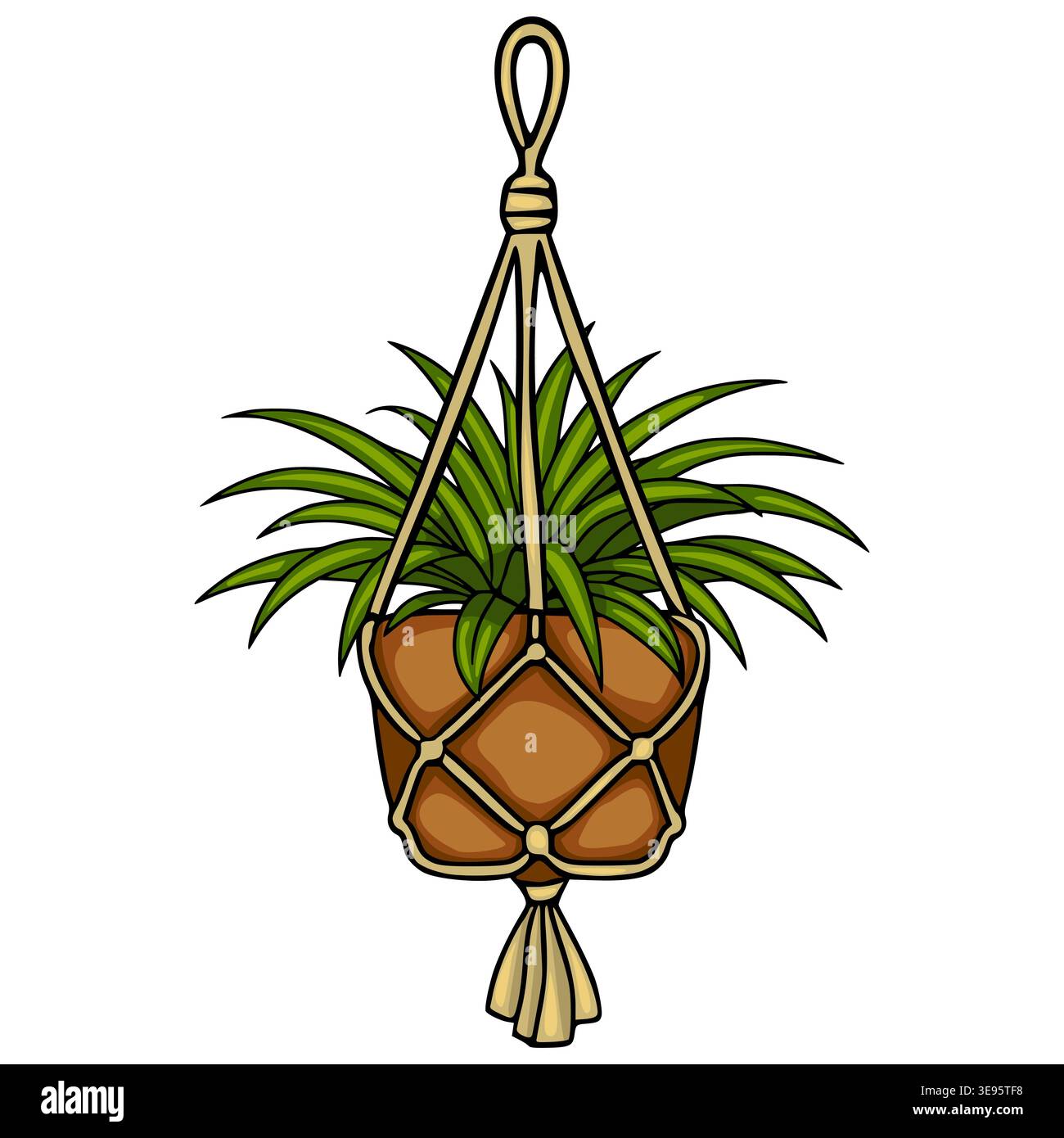 Illustration of a hanging green plant on a white background Stock Vector  Image & Art - Alamy