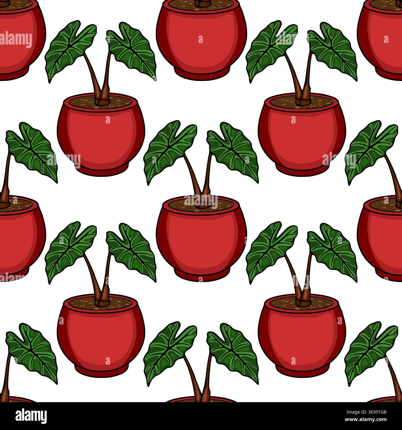 plants that are good for terrariums Mini Terrarium Plants (6 Plants) (2