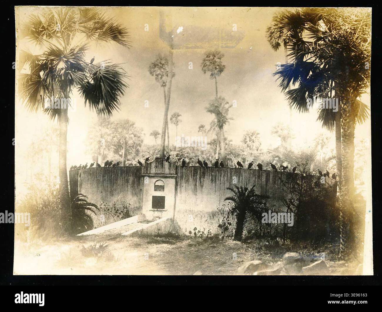 The Tower of Silence in Bombay, photographed in 1905, is a key structure in Zoroastrianism used for the exposure of the deceased. This photograph, taken at the beginning of the 20th century, provides a rare glimpse into the architectural form of this sacred site, which is integral to Zoroastrian burial rites. Stock Photo